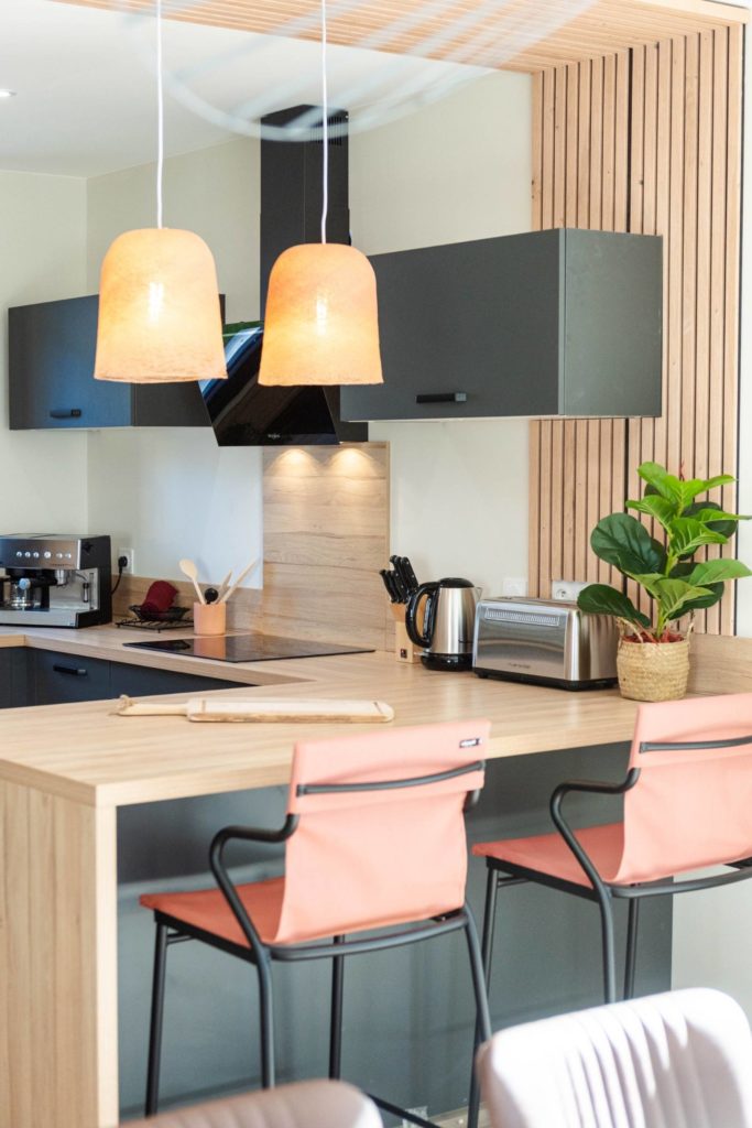 Cuisine moderne de l’habitat partagé La Vieille Chouette à La Ravoire – AIDADOM73